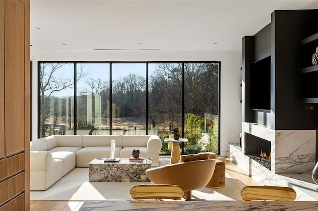 living room with a premium fireplace and light hardwood / wood-style flooring