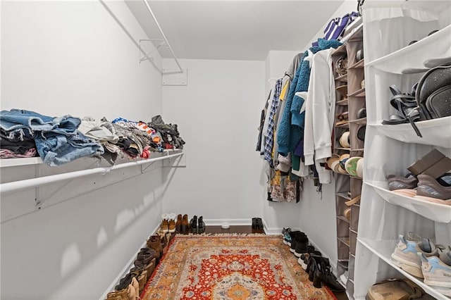 1995 Raleigh Tavern Dr, Roswell, GA 30076 - view of walk in closet