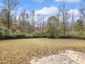 2773 River Rd, Ellenwood GA, 30294 land for sale