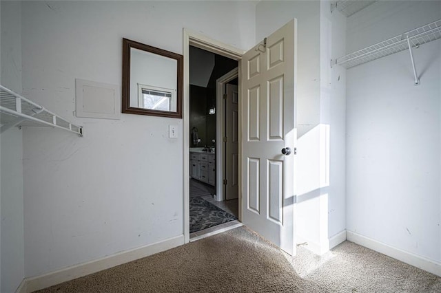 spacious closet featuring carpet