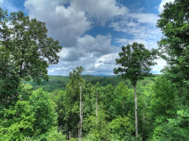 897 Faraday Dr, Ellijay, GA 30540 - mountain view with a heavily wooded area