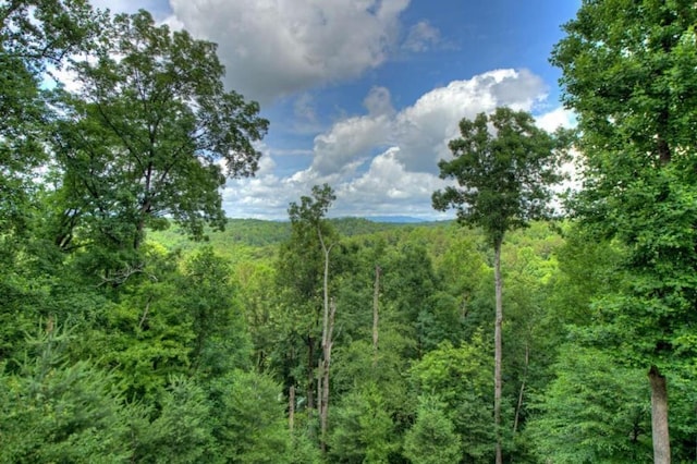 897 Faraday Dr, Ellijay, GA 30540 - view of wooded area