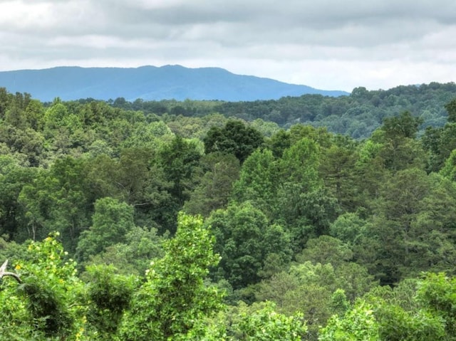 897 Faraday Dr, Ellijay, GA 30540 - view of mountain background featuring a forest
