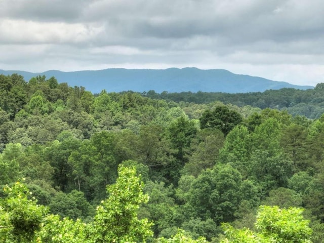897 Faraday Dr, Ellijay, GA 30540 - view of mountain background featuring a heavily wooded area