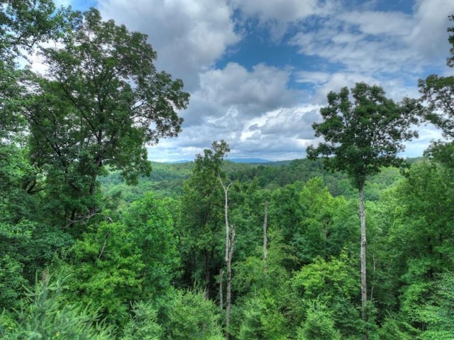 897 Faraday Dr, Ellijay, GA 30540 - view of woods