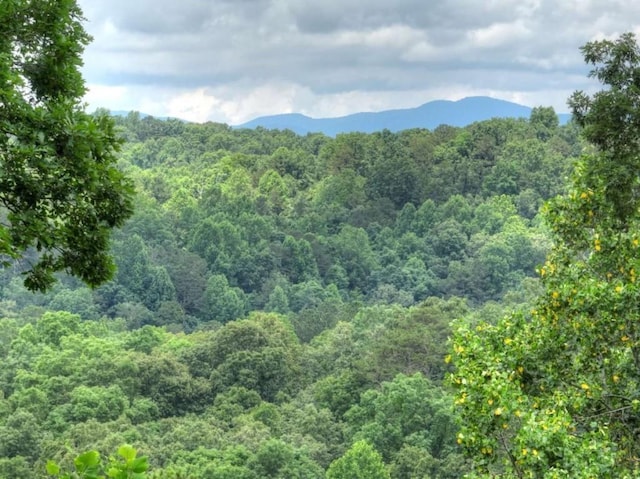 897 Faraday Dr, Ellijay, GA 30540 - view of mountain background with a heavily wooded area