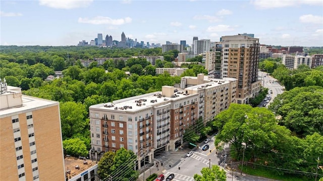 aerial view of a skyline view