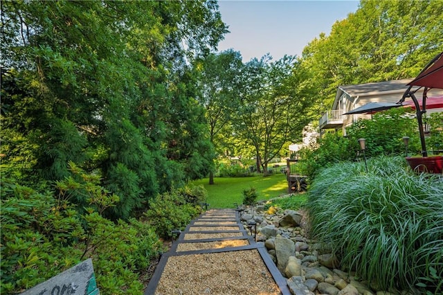 4442 Academy St, Acworth, GA 30101 - view of green lawn