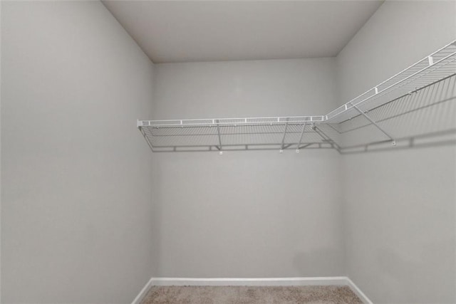 walk in closet featuring carpet