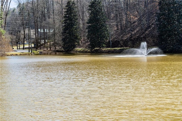 view of water feature