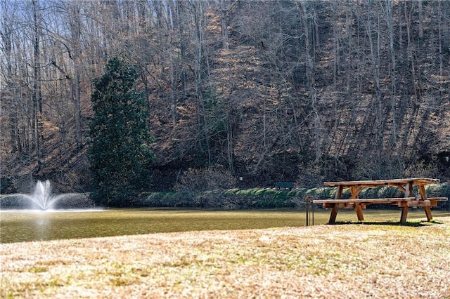 view of community featuring a yard