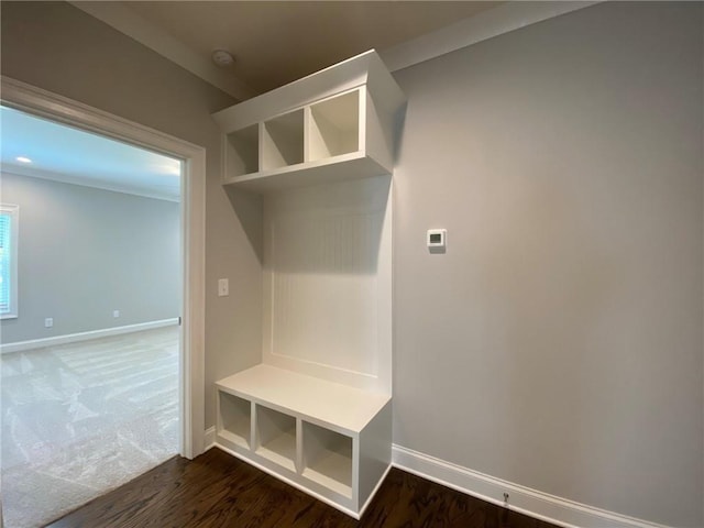 mudroom with dark hardwood / wood-style floors