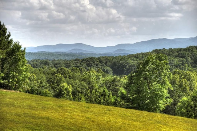 mountain view featuring a wooded view