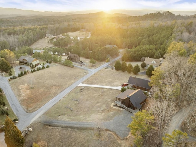 drone / aerial view featuring a mountain view