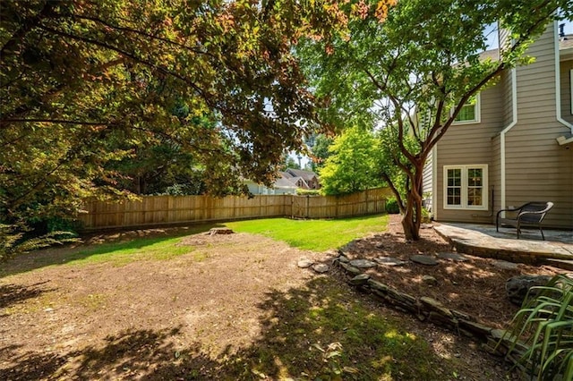 230 Bristol Stone Ct, Johns Creek, GA 30005 - view of yard with a patio area