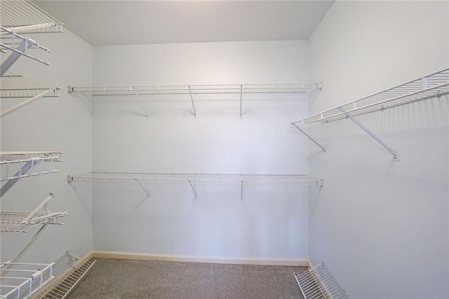 spacious closet with carpet floors