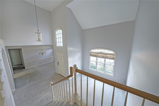 stairs featuring high vaulted ceiling and carpet flooring