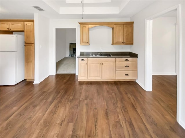 131 Morningside Dr, Jackson, GA 30233 - kitchen with freestanding refrigerator, a raised ceiling, dark countertops, and dark wood-style flooring
