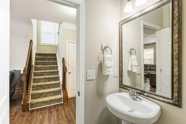 bathroom featuring ornamental molding, a sink, and wood finished floors