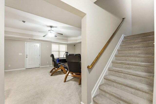 stairs with baseboards, a raised ceiling, a ceiling fan, crown molding, and carpet floors