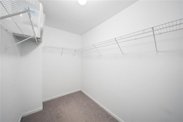 651 Coligny Ct, Atlanta, GA 30350 - walk in closet featuring carpet floors