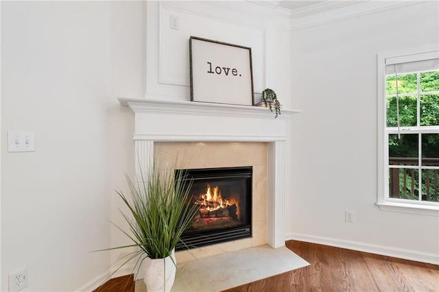 651 Coligny Ct, Atlanta, GA 30350 - detailed view of a fireplace, wood finished floors, and crown molding