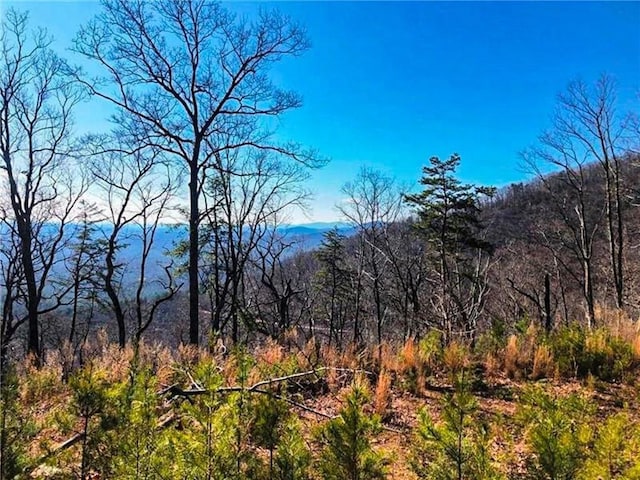 Listing photo 2 for 00 Coopers Gap Rd, Dahlonega GA 30533