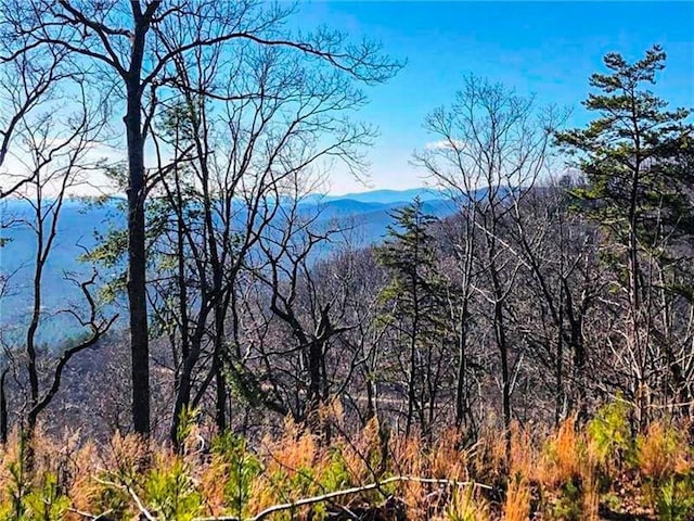 Listing photo 3 for 00 Coopers Gap Rd, Dahlonega GA 30533