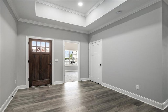 foyer entrance with dark hardwood / wood-style floors, a raised ceiling, and ornamental molding