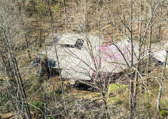 view of local wilderness