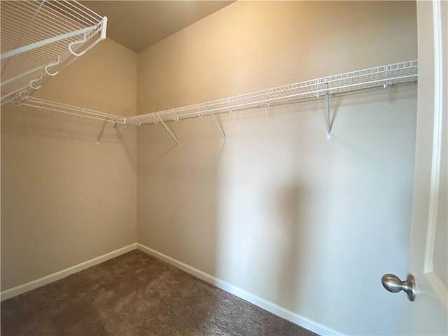 spacious closet with carpet flooring