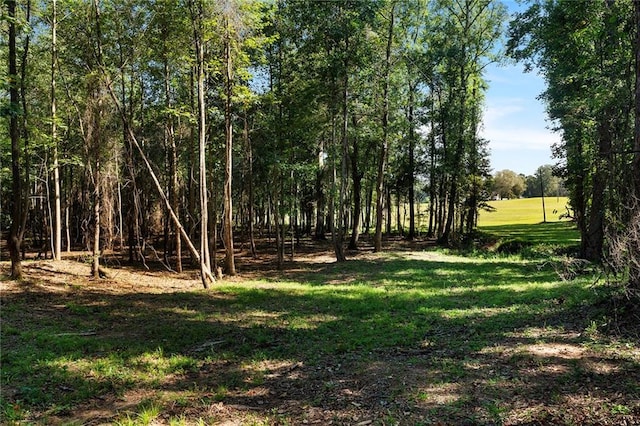 Listing photo 3 for 0 Hutcheson Ferry Rd, Chattahoochee Hills GA 30268