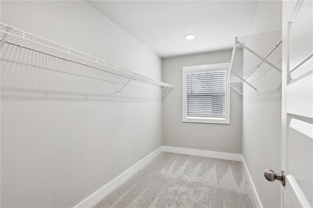 spacious closet with carpet floors