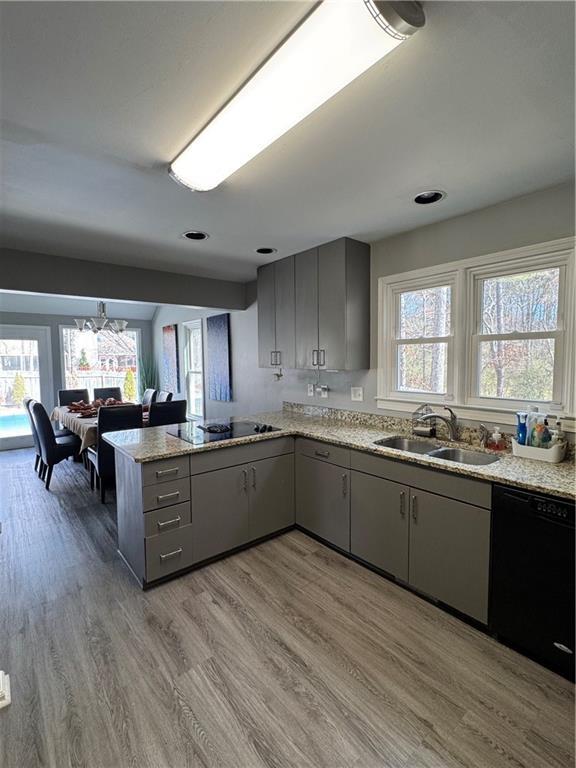 kitchen featuring a peninsula, a sink, gray cabinets, black appliances, and light wood finished floors