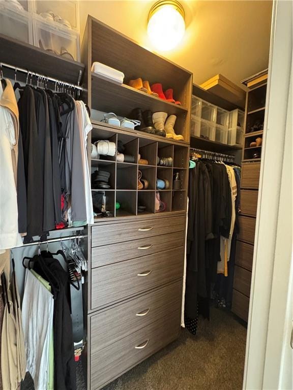 walk in closet with dark carpet