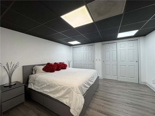 bedroom with wood finished floors, a drop ceiling, and two closets