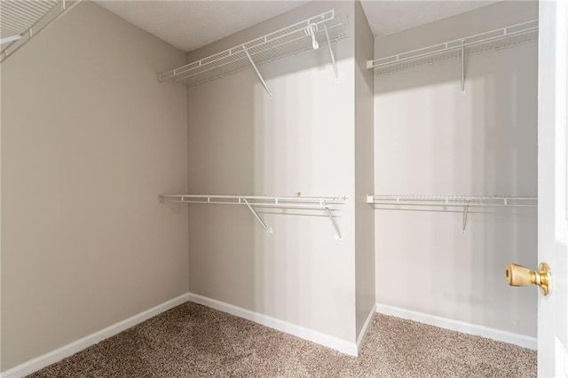 spacious closet featuring carpet flooring