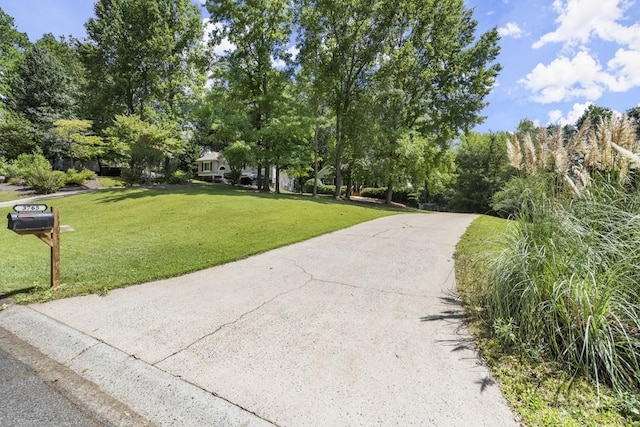 view of home's community featuring a yard