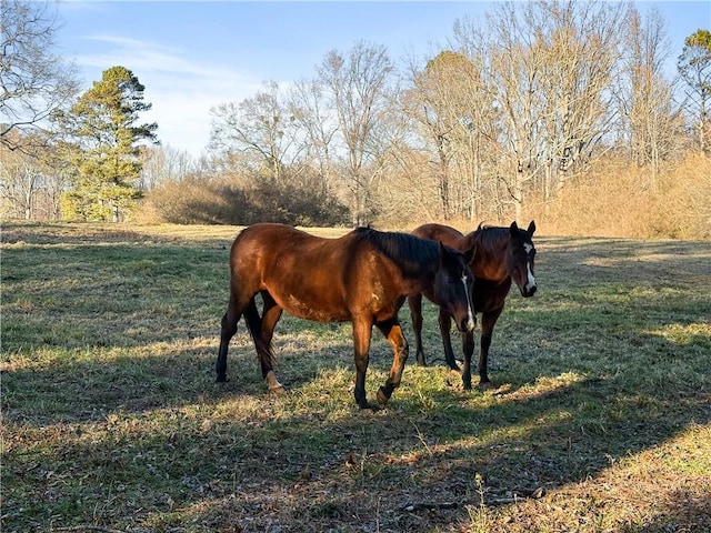 view of stable