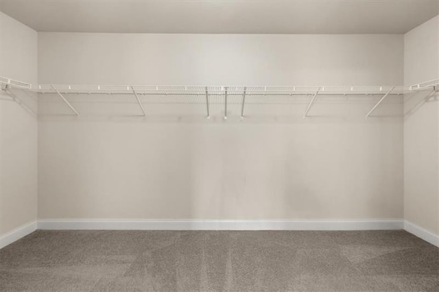 spacious closet with carpet flooring