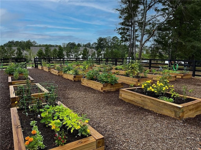 view of home's community with fence and a vegetable garden