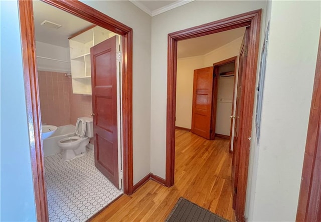 corridor with light hardwood / wood-style floors and ornamental molding