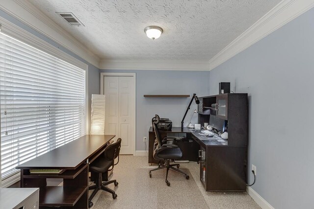 6485 Flowery Way, Flowery Branch, GA 30542 - carpeted office with plenty of natural light, baseboards, ornamental molding, and a textured ceiling