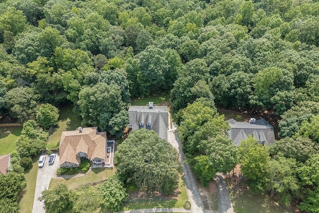 6485 Flowery Way, Flowery Branch, GA 30542 - aerial view of property's location with a forest