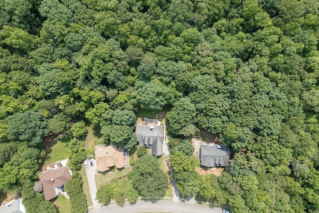 6485 Flowery Way, Flowery Branch, GA 30542 - aerial view of property's location with a heavily wooded area