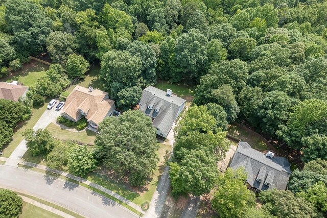 6485 Flowery Way, Flowery Branch, GA 30542 - bird's eye view of a forest
