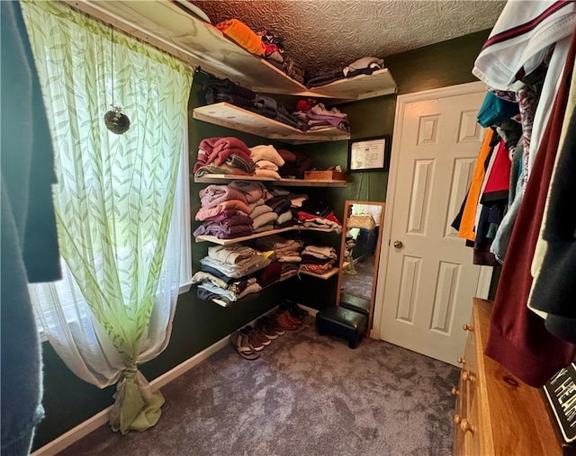 4114 Falcon Shores Ct NW, Acworth, GA 30101 - view of storage
