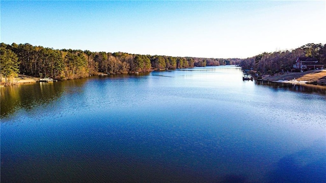 property view of water