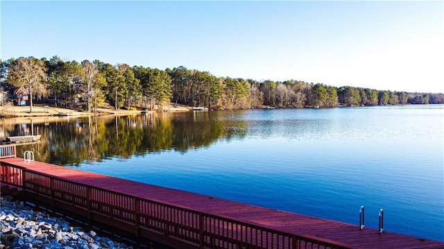 dock area with a water view