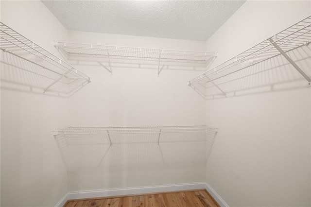 walk in closet with wood finished floors